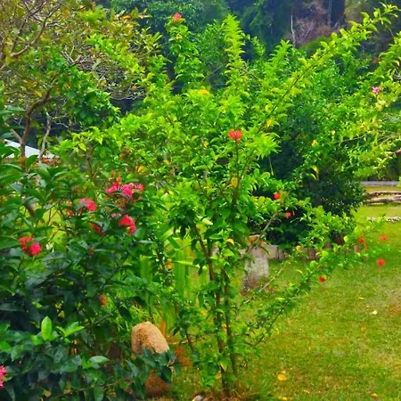 Dan Zoranz Self Catering Guest House La Digue Exterior photo
