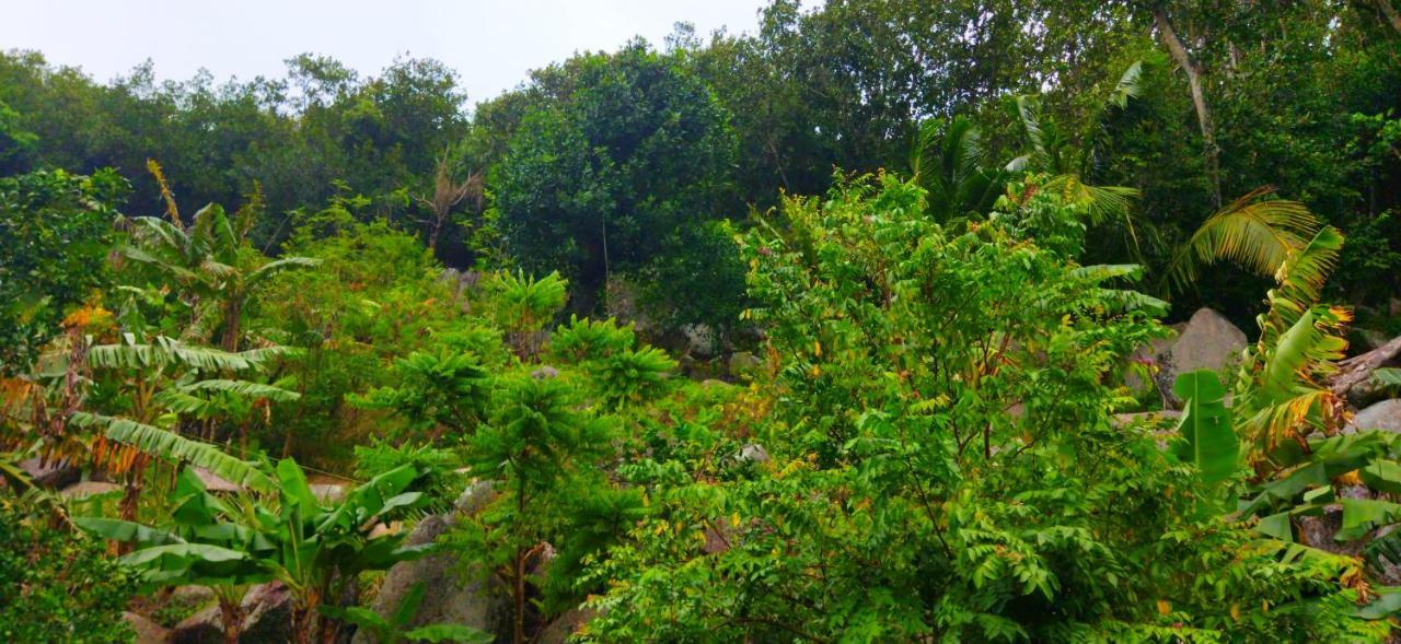 Dan Zoranz Self Catering * La Digue