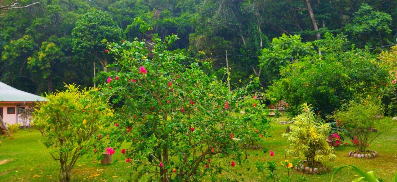 Holiday home Dan Zoranz Self Catering *
