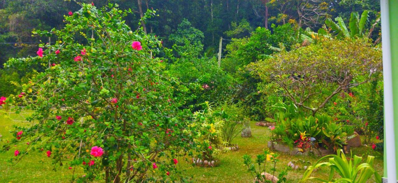 Holiday home Dan Zoranz Self Catering *